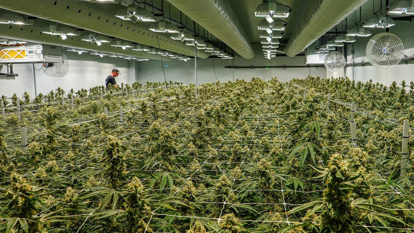 Grow room canopy